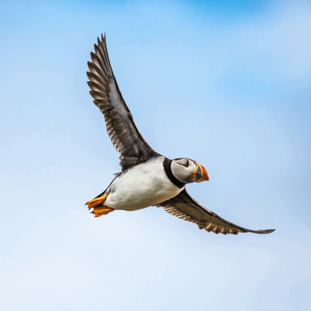 Ajankohtaisia asiakastarinoita, artikkeleita, ladattavia oppaita.